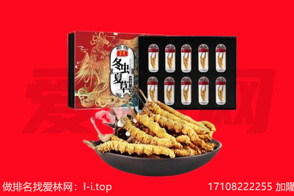 聊城市回收虫草.jpg
